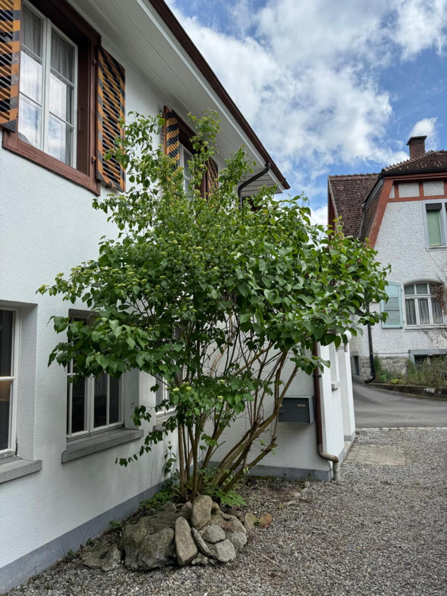 Garden House Villa Interlaken Exterior foto